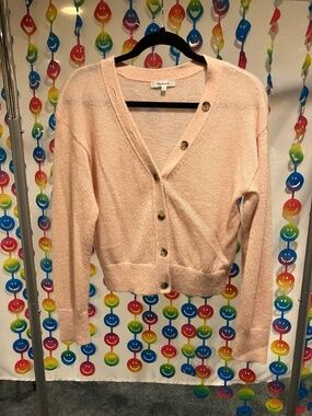 Madewell Alpaca-Blend V-Neck Cardigan (Small)